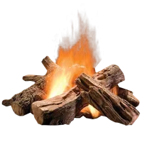 Trình mô phỏng lửa trại